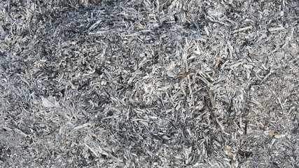 Background with ash of burned wood and grass