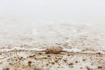 Pebble being dragged into the ocean