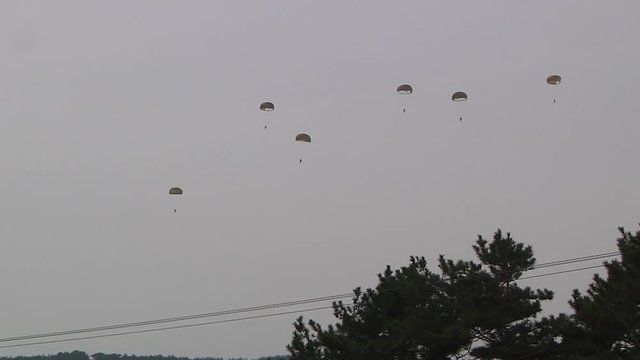 Group of soldiers arriving by parachute 