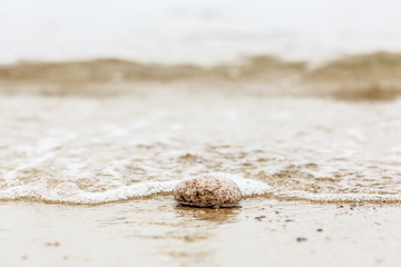 Lonely pebble on the beach