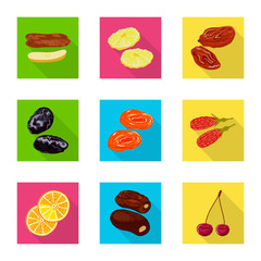 Isolated object of fruit and dried  sign. Collection of fruit and food  vector icon for stock.