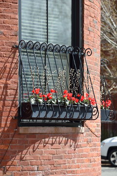 Window Box Decoration with Bright Red Flowers of Cyclamen and Pusy Willow Branches