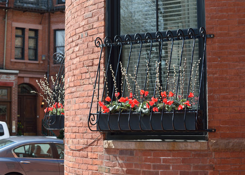 Window Box Decoration with Bright Red Flowers of Cyclamen and Pusy Willow Branches