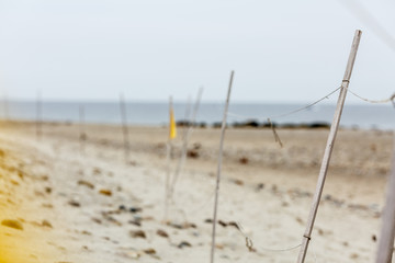 Protective fence for piping plovers on Cape Cod