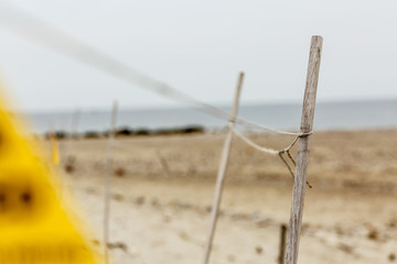 Protective fence for piping plovers on Cape Cod