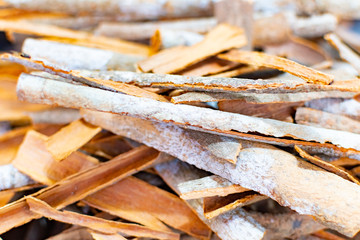 Cinnamon sticks from traditional Indian Market in Delhi