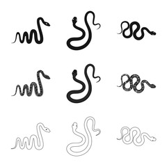 Isolated object of mammal and danger symbol. Set of mammal and medicine stock vector illustration.