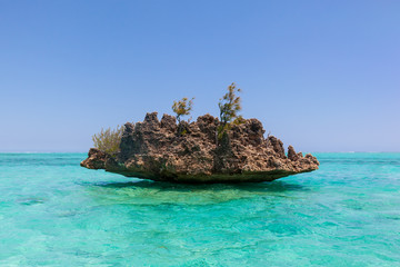 Crystal rock in the turquoise waters of the Indian Ocean near Benitiers Island Mauritius