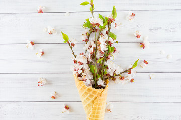 Ice-cream cone with flowers.