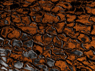 Gold gray paint toned wood surface texture. Rare wood grain natural pattern for design decor. Abstract shiny rusty metallic background