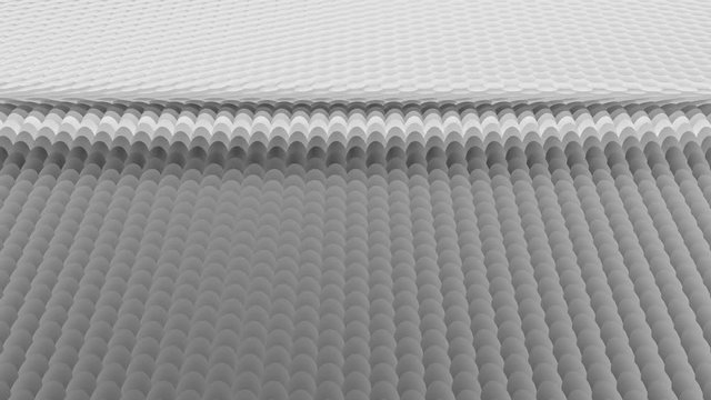 4K Scales of fish or snakes turn from one side to another. Beautiful background