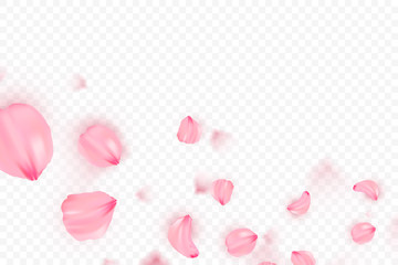 Pink sakura falling petals vector background. 3D romantic illustration. Transporent banner with sakura. Love card © Olha