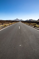 Desert road with rocks and blank signage. straight in perspective of a paved road and blue sky as horizon