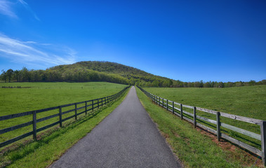 "Long Ranch Road" a long wooden fence leading to a mountain with large ranch and green pastures ZDS Americana Landscapes Collection