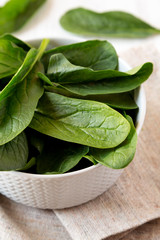 Raw spinach in a bowl, side view. Close-up.