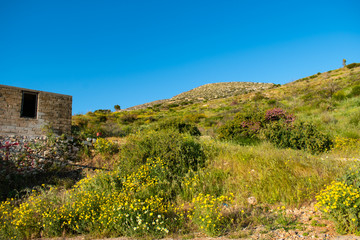 Fototapeta premium landscape in athens