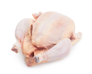 Raw fresh chicken