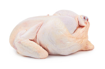 Raw fresh chicken