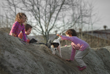 Children play on the hill of mud with a dog