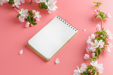 Blooming spring sakura on a pink background with notepad space for greeting message. The concept of spring and mother's day. Beautiful delicate pink cherry flowers in springtime