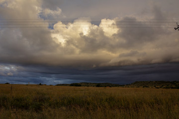 Obraz na płótnie Canvas Before storm - heavy clouds above a plain