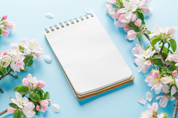 Blooming spring sakura on a blue background with notepad space for a greeting message. The concept of spring and mother's day. Beautiful delicate pink cherry flowers in springtime