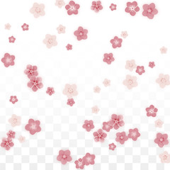 Vector Realistic Pink Flowers Falling on Transparent Background.  Spring Romantic Flowers Illustration. Flying Petals. Sakura Spa Design. Blossom Confetti. Design Elements for Wedding Decoration.