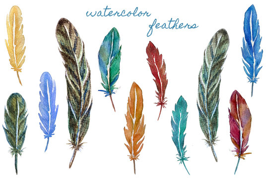 Set of colorful watercolor feathers. Hand drawn