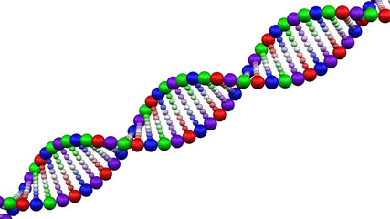 Сolor DNA molecule. 3D rendering.
