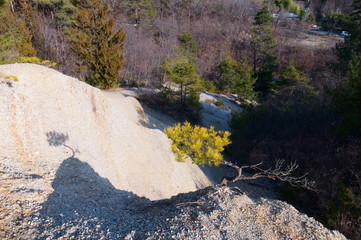 Geology Stratum nature Park