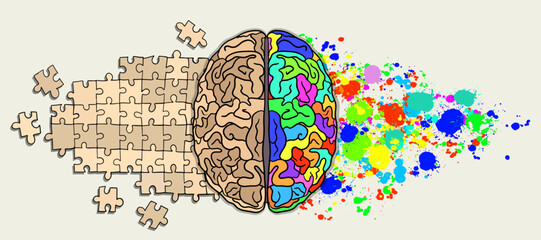 Brain. Right and left hemisphere responsible for creativity and logic. splash and puzzles