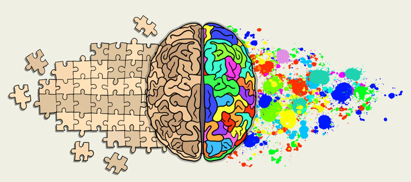 Brain. Right and left hemisphere responsible for creativity and logic. splash and puzzles