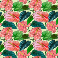 Seamless pattern, anthurium on a white background.Floral pattern of tropical flowers.