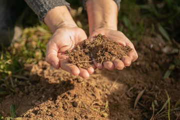 female hands catching a bunch a soil outdoors