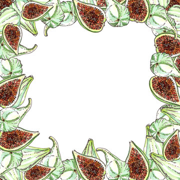 Ripe white green adriatic figs watercolor and ink square frame on white background. Whole and half cut. Card or banner template
