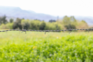 One line of gray barbed wire with three knots against a background of green grass and trees