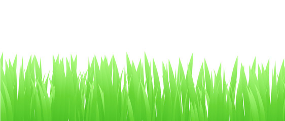 Grass Border , Vector Illustration