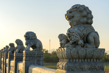 Fototapeta premium Zakazane Miasto Lwy