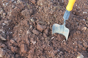 Garden little shovel in the ground. Close-up. Background. Texture.