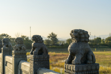 Forbidden City Lions