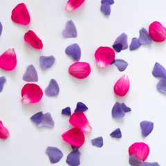 flowers and petals laid out on a white background. Can be used as a design element for greeting cards and wedding invitations.