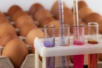 glass pipettes for analysis in test tubes against the background of the egg tray
