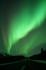 Alaska Northern Light