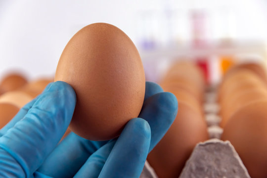 an egg in the scientist's hand, against a background of a tray of eggs and test tubes with chemicals