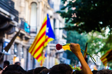 Obraz premium Catalunya independencia estelada