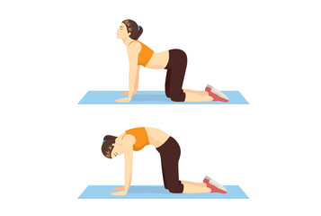 Woman doing Cat Cow Workout in 2 step to stretch the back and promote spinal flexibility. Illustration about exercise guide.