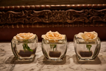 rose blossoms in a glass vase