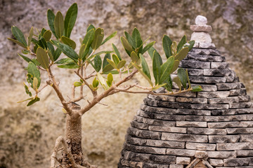 Antique italian house Trulli, Alberobello, Puglia - Italy