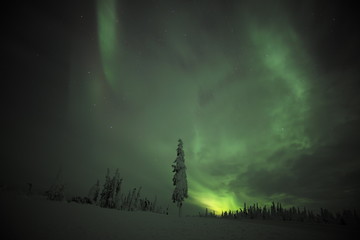 Alaska Northern Light