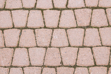 Paving stone. Close-up. Background. Texture.